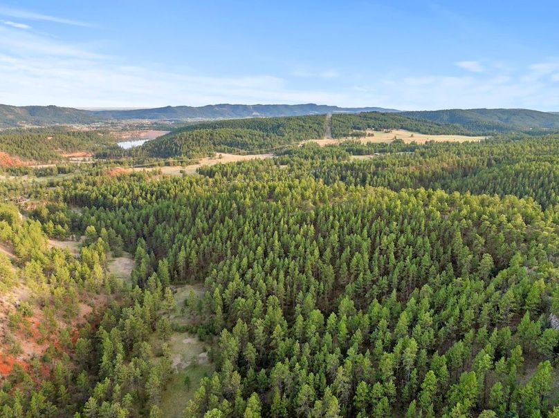 26-DJI_20250507185345_0779_D