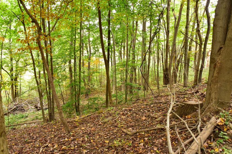 Chemung_29.5_Frantellizzi_Photo_15