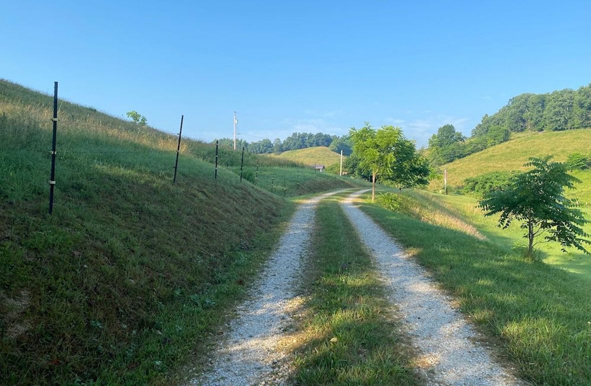 005 peaceful country driveway leading into the property copy