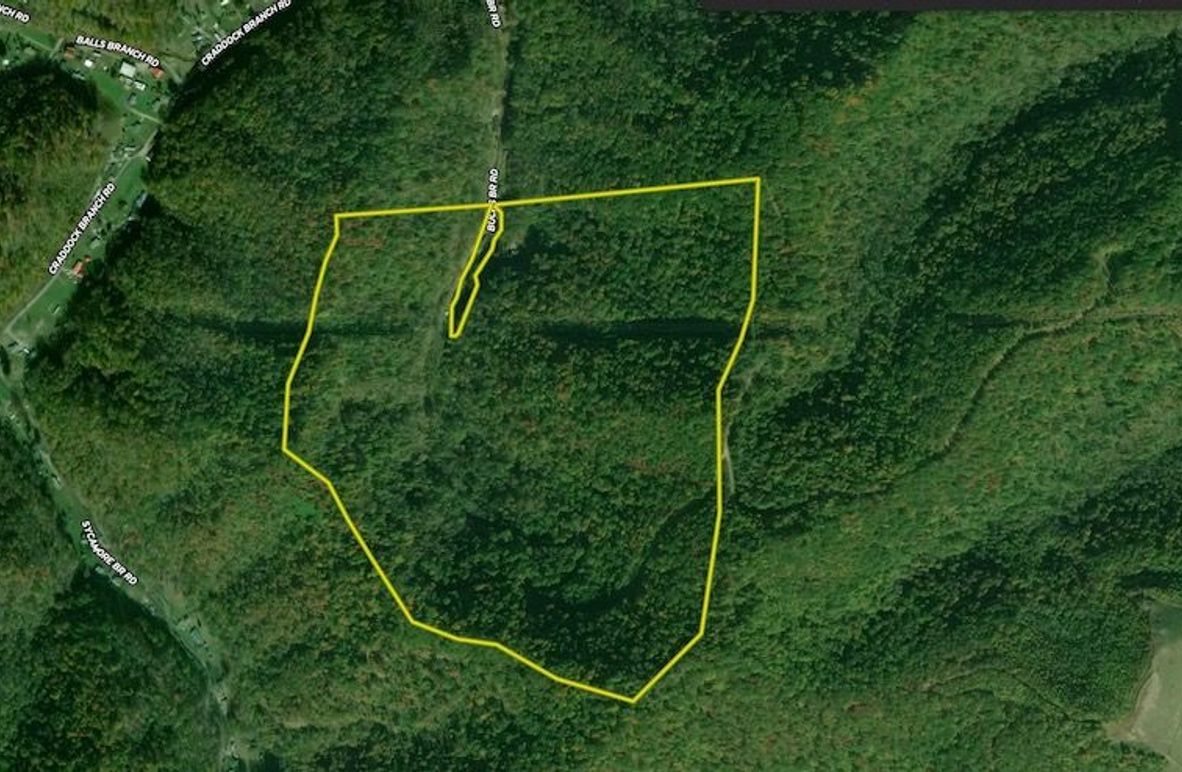 Screenshot 2026-01-15 at 11.13.26 AM