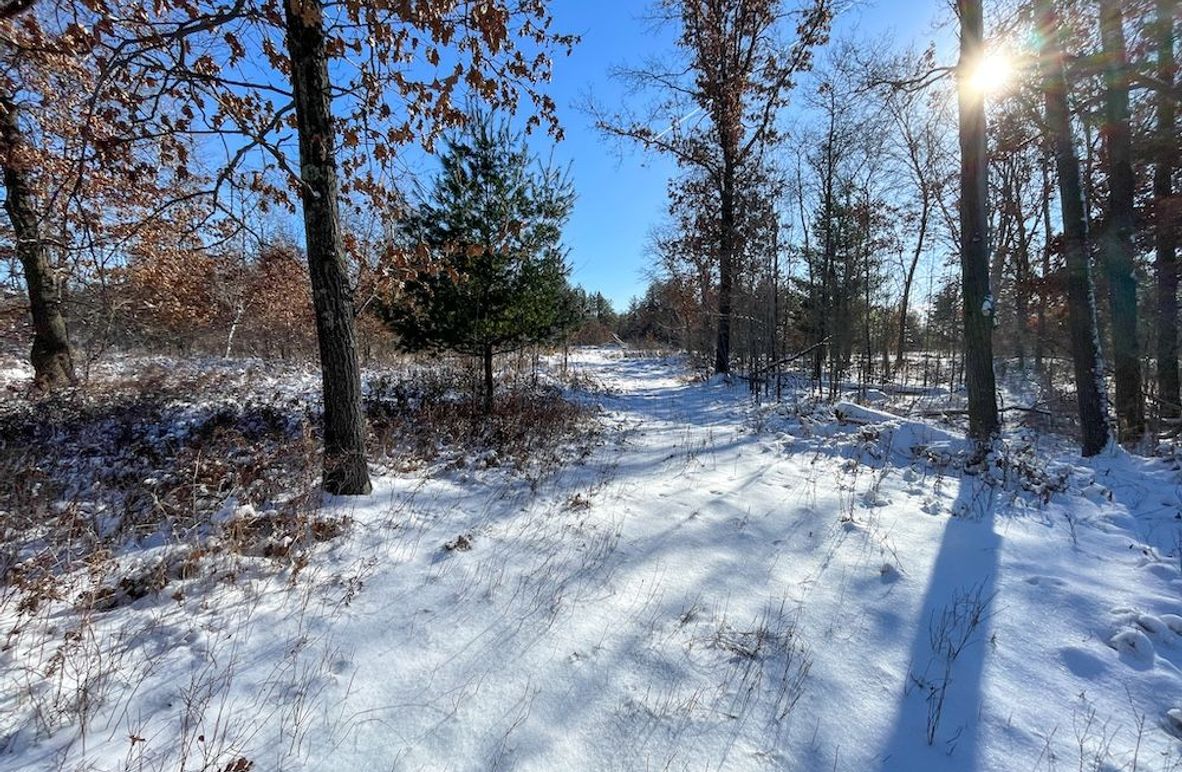 Juneau 105 Cantic -04