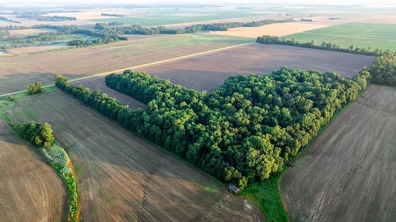 Copy of DJI_20250703171558_0019_D