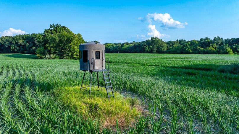 Copy of DJI_20250806051853_0013_D Large