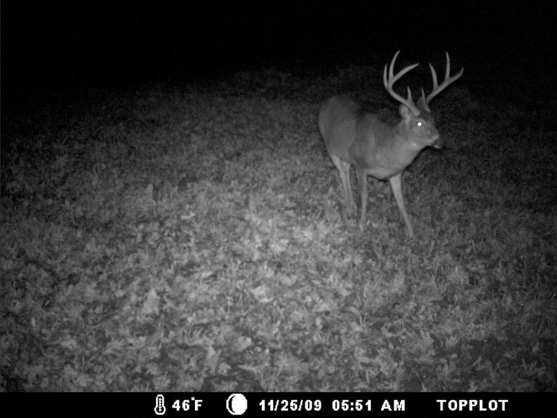 Deer Cam Tracker Pic. 258