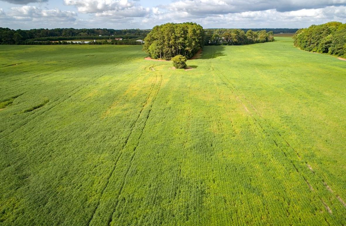 Copy of 1_Salisbury_MD_101.27AC