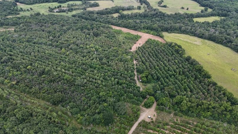 DJI_20250802035442_0559_D