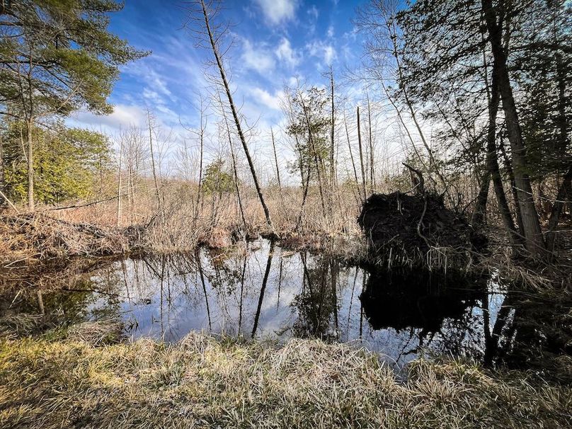 StLawrence_142.7_Bosse_Photos_32