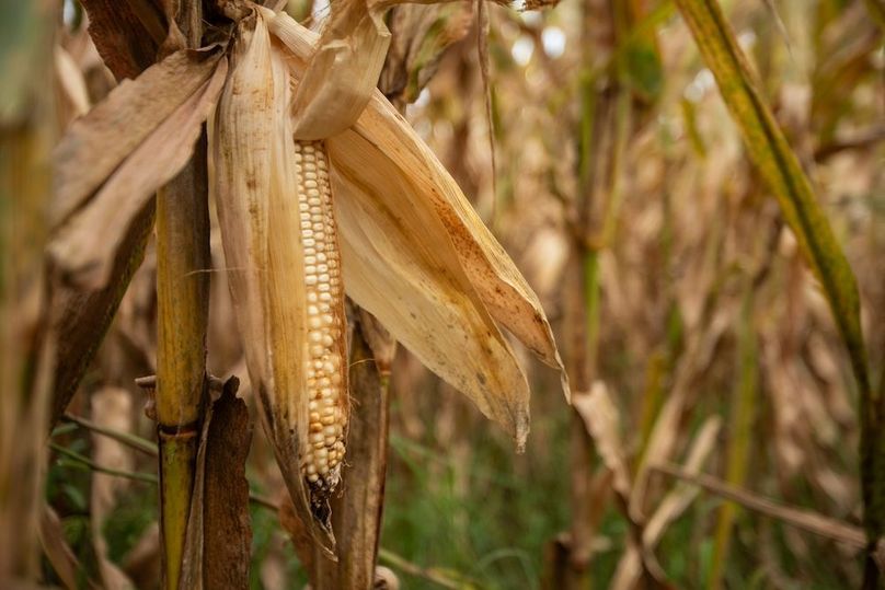 FREMONT CO IA 159.05_28