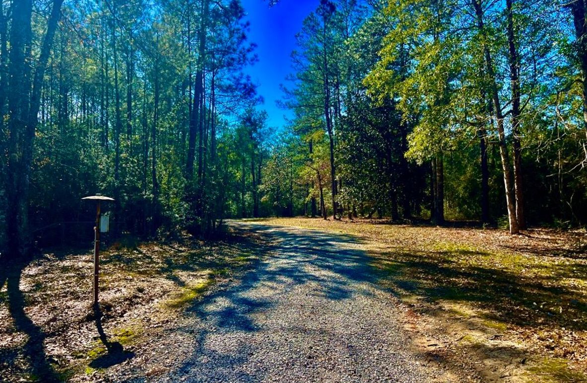 1A78F6DA-6520-479B-A519-F4A65D894287_1_201_a