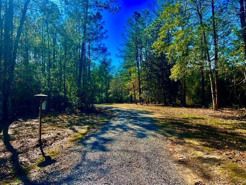 1A78F6DA-6520-479B-A519-F4A65D894287_1_201_a