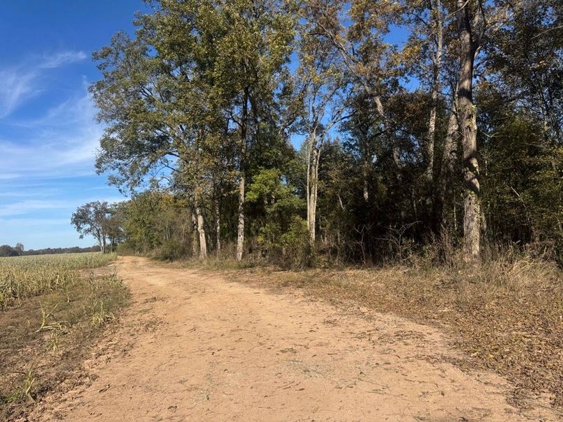 1a1 jeff 8320251111_0263