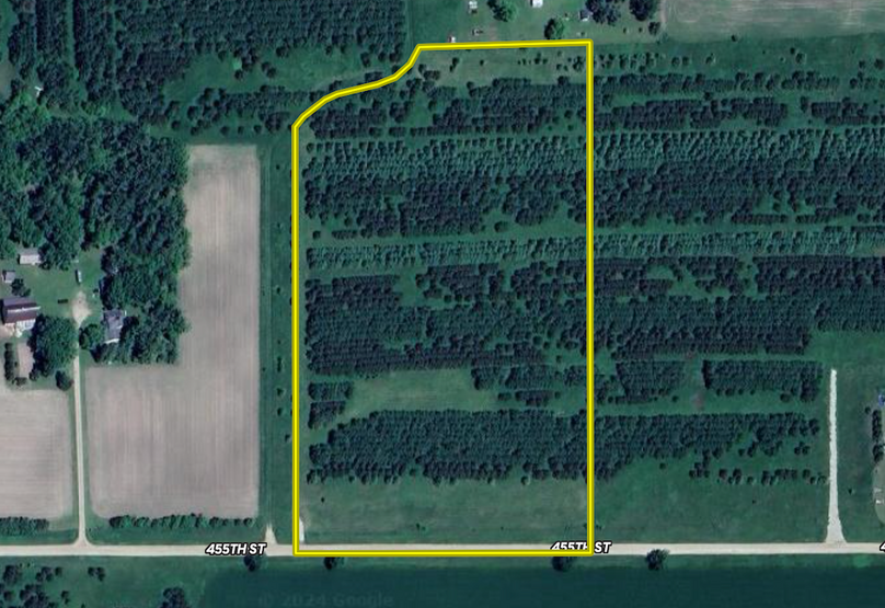 Screenshot 2024-09-18 at 11.56.45 AM