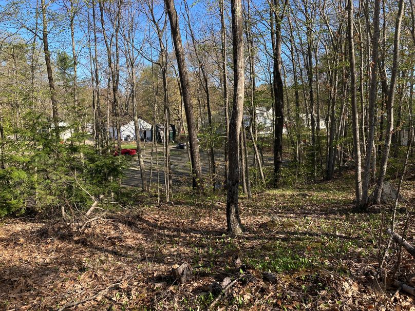 2023-05-08_08-23-16-0400