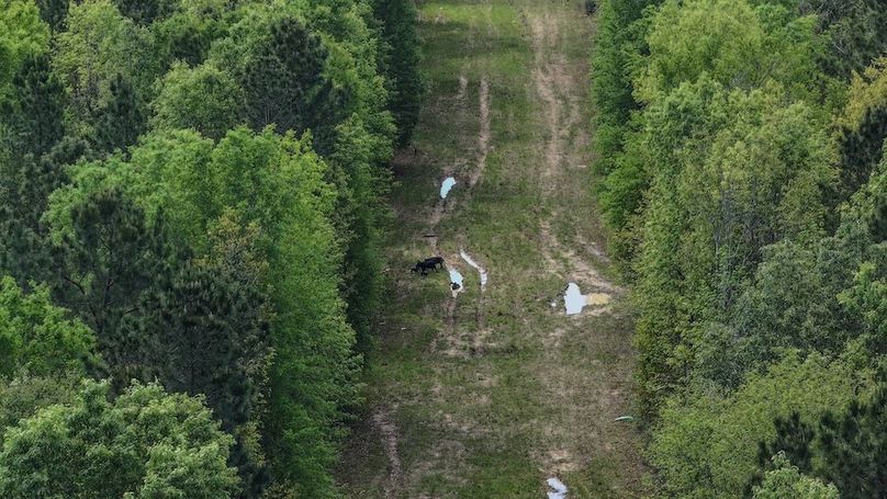 DJI_20260327120417_0067_D