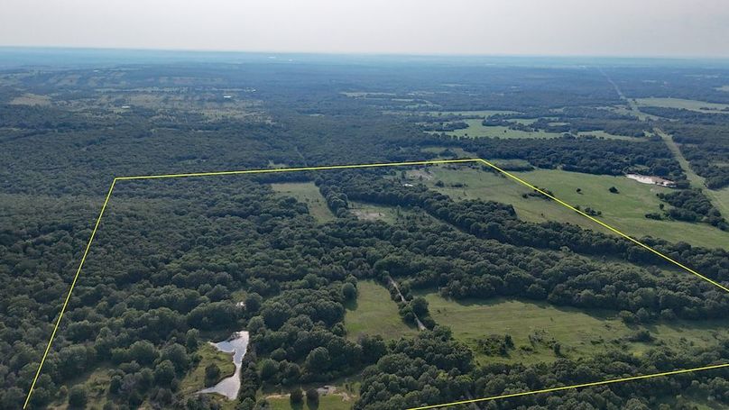 DJI_20240726183053_0003_M