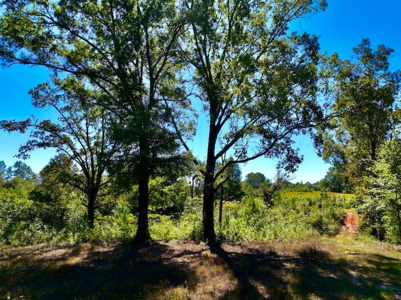 4E9BD5FF-EC19-483E-AC68-6A1BABC5A040_1_201_a