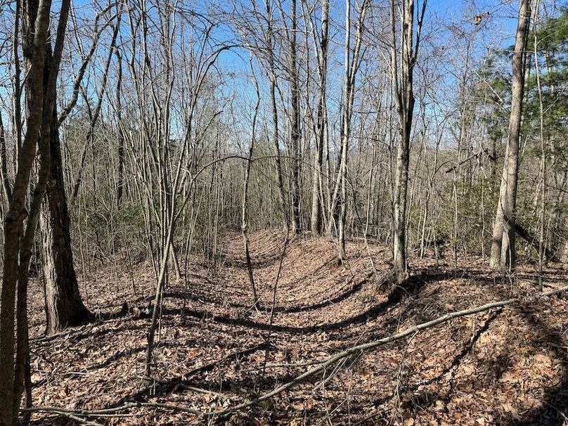 Cherokee 118.85 Harris Top-09