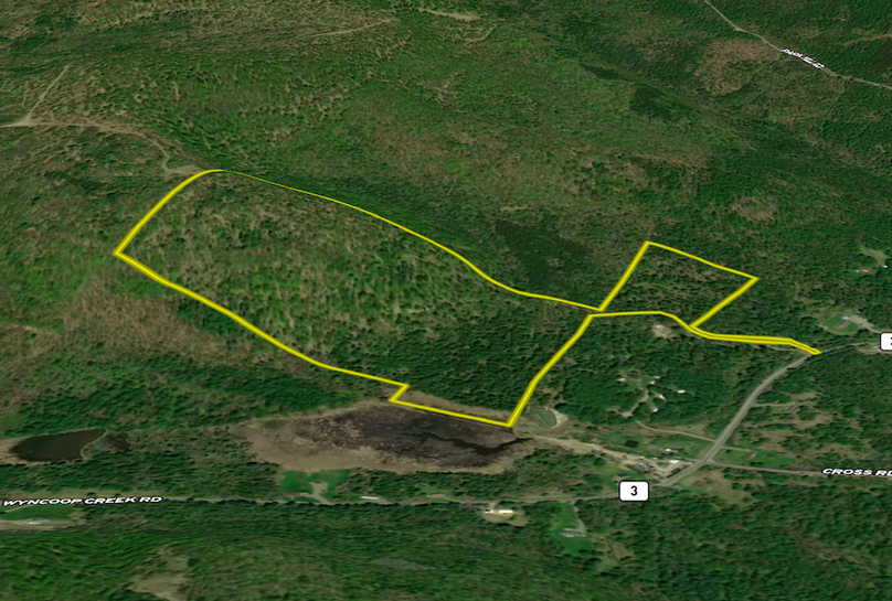 Chemung_60.55_Baumunk Land ID Map 5