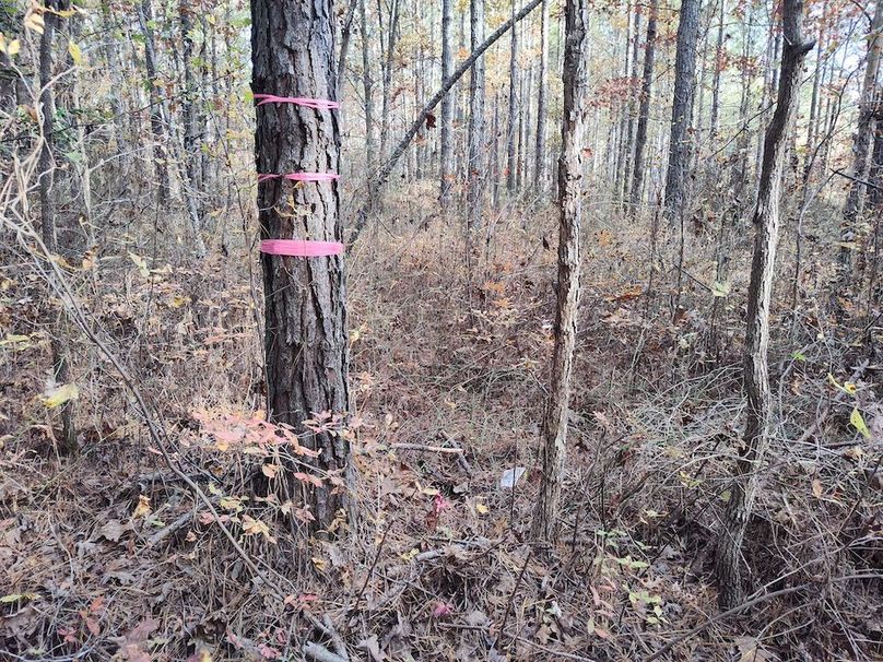 IMG_20251105_150333693