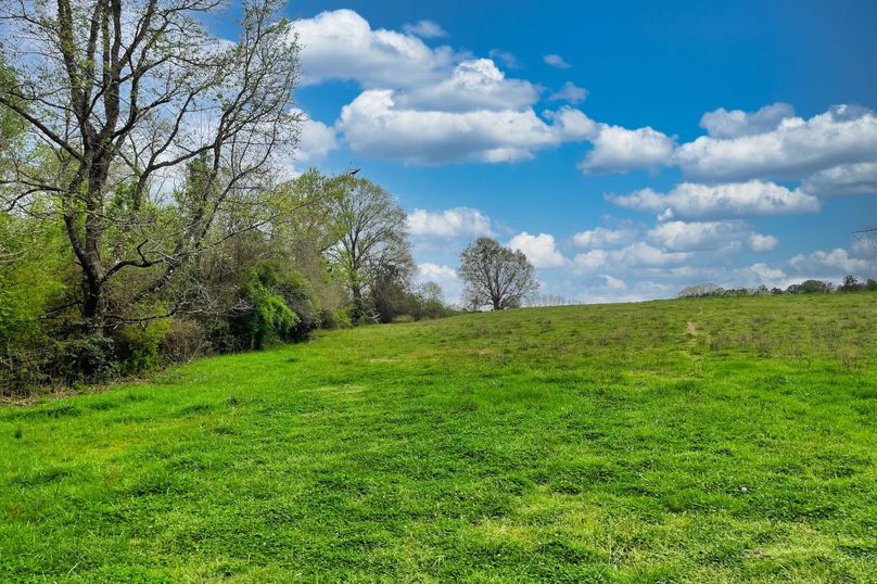 14 Pasture _ Trees 07