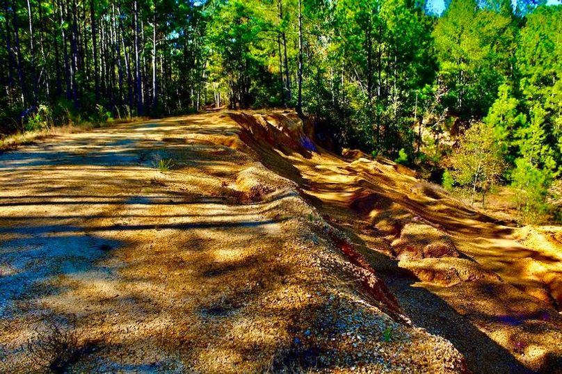 6CA69AB3-2F3F-4209-B9CD-C8679A7865B9_1_105_c