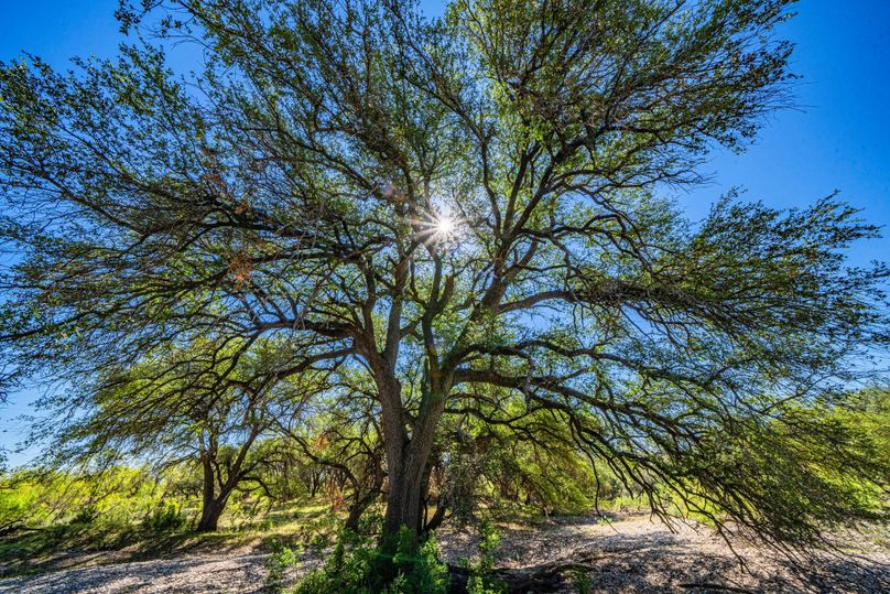 28-web-or-mls-DSC08559