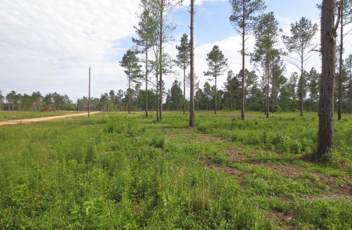 3E860B46-9662-46A1-B26C-246931D99049_1_105_c