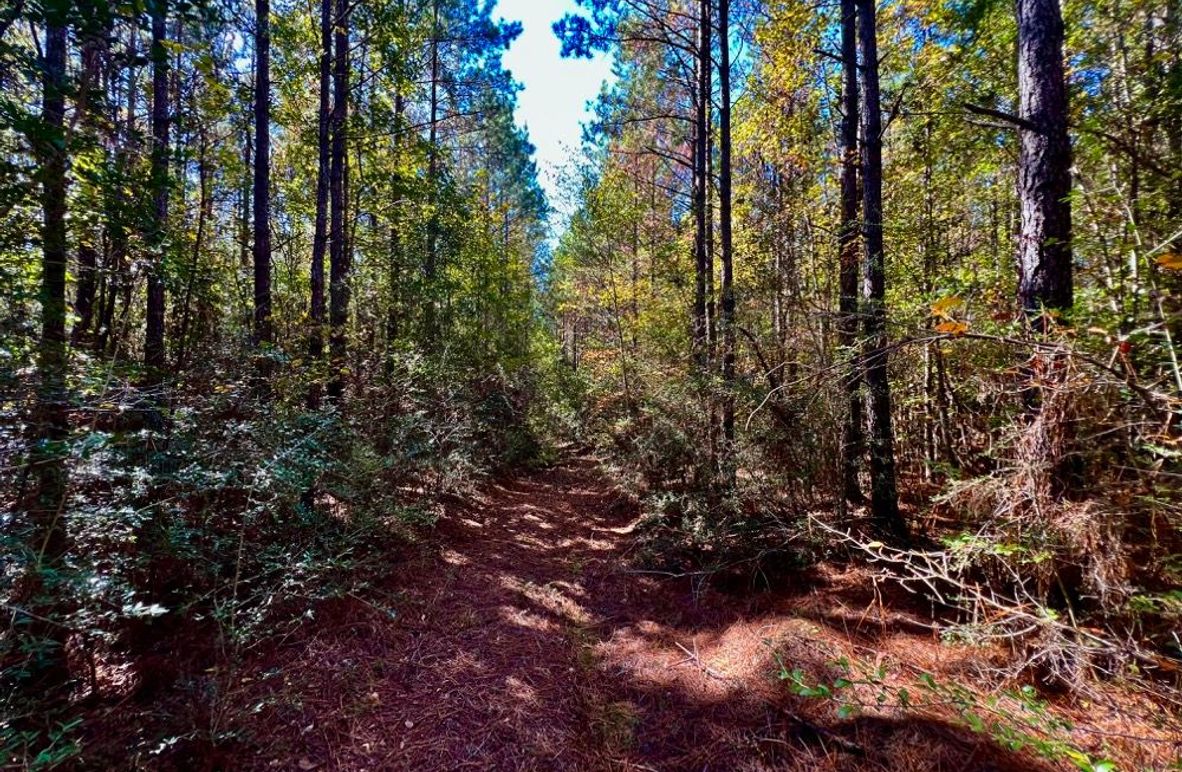 3C8A21B8-81CC-4499-A8D5-6B431E5D0210_1_201_a