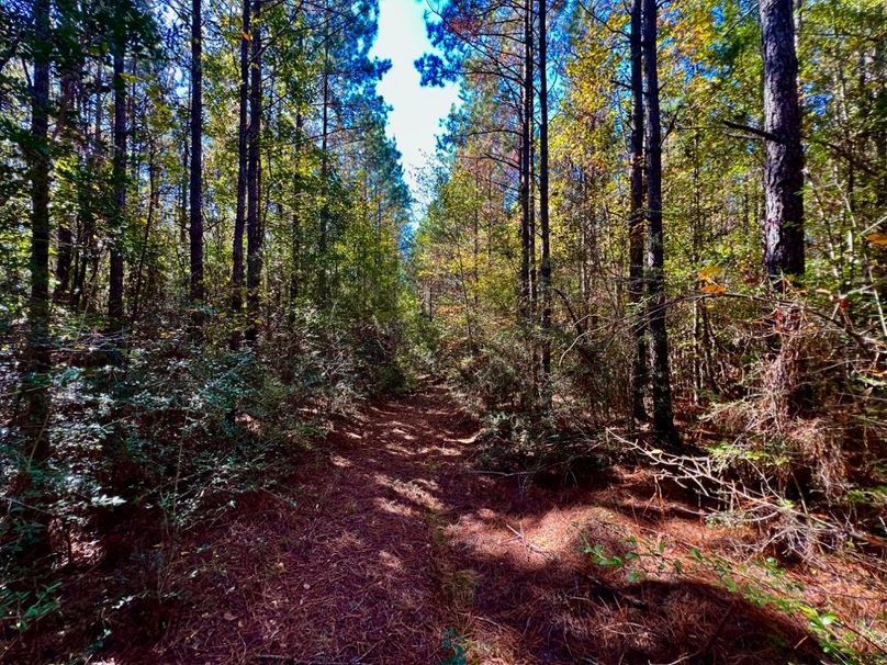 3C8A21B8-81CC-4499-A8D5-6B431E5D0210_1_201_a