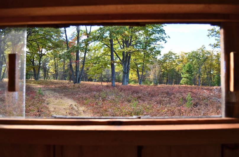 Screenshot 2025-11-14 at 11.08.07 AM