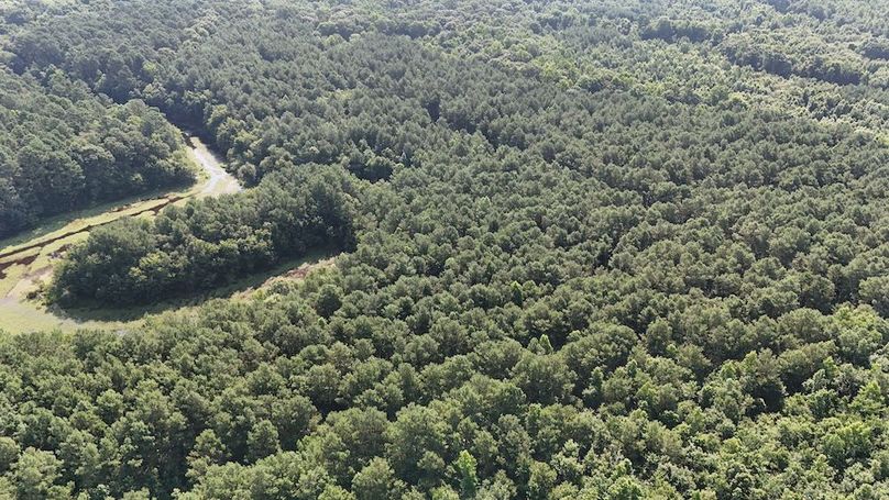 DJI_20250627095037_0099_D