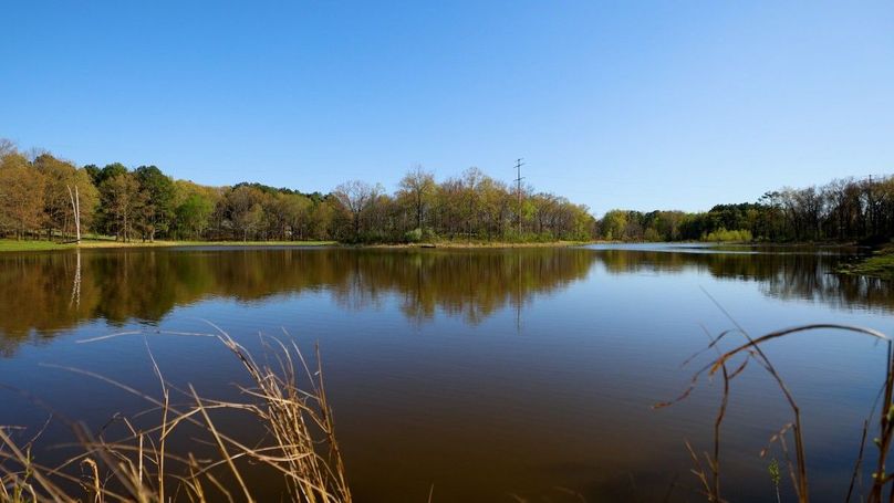 WILLIAMSON, IL 65.00_01_06_11.Still009