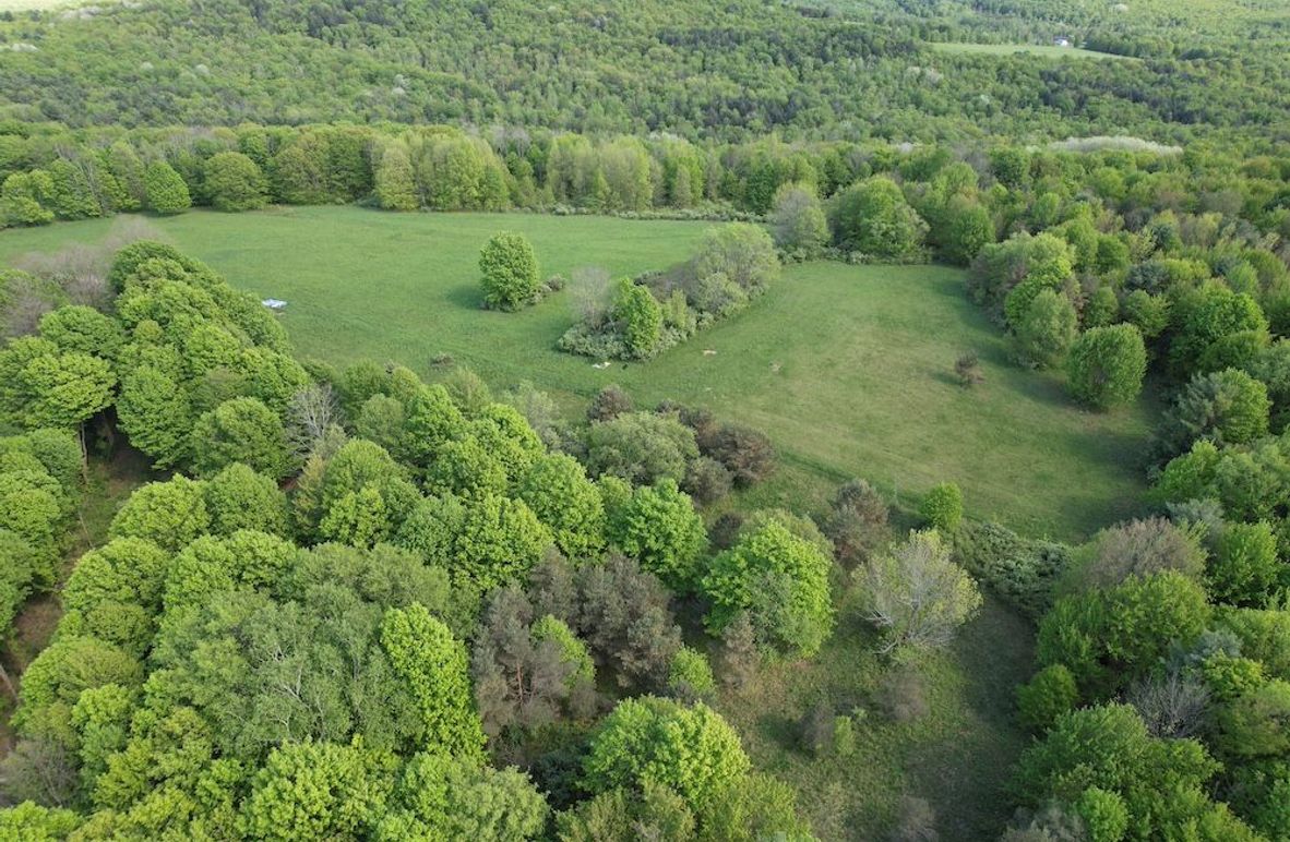 Chemung_116.3_Stamm Photo 5