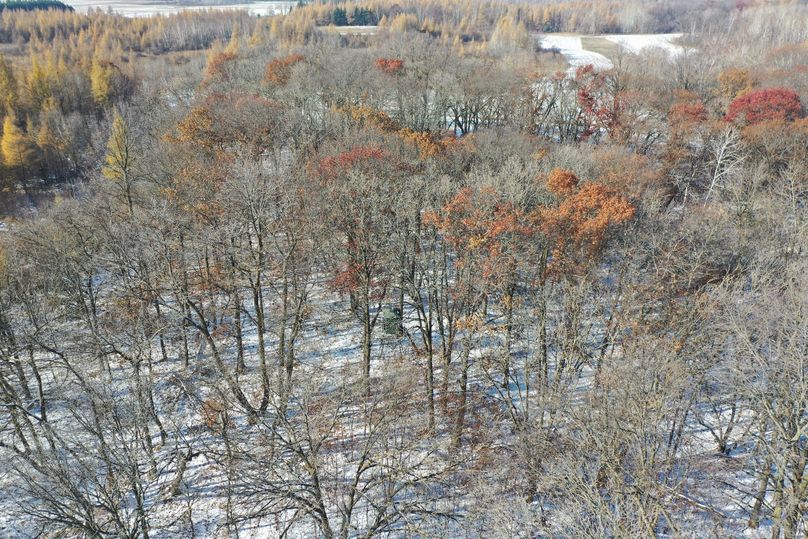 DJI_0596