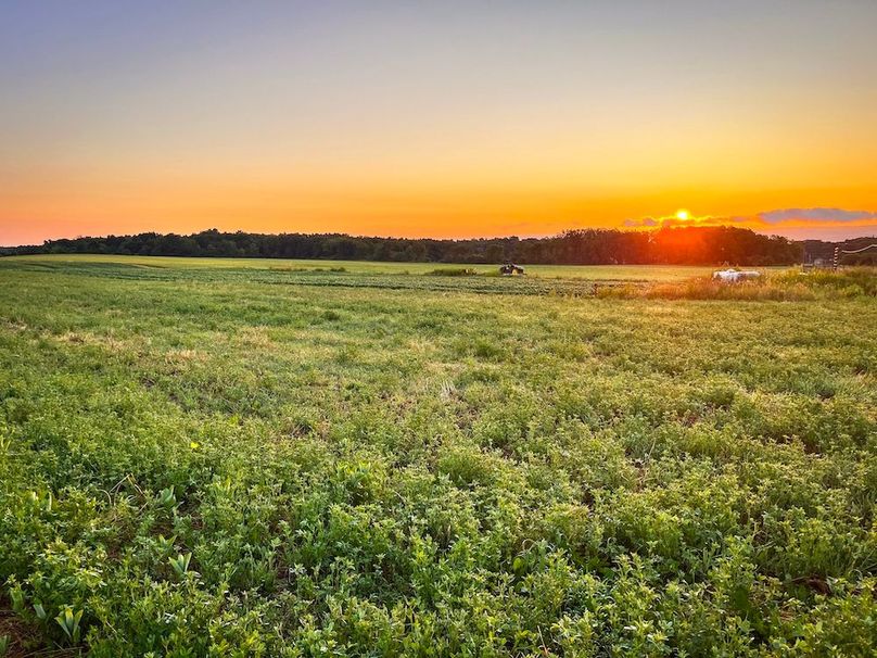 Copy of Wood Main Listing Photo 8