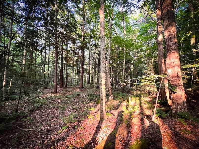 Oswego_25.66_Pettit_Photos_28