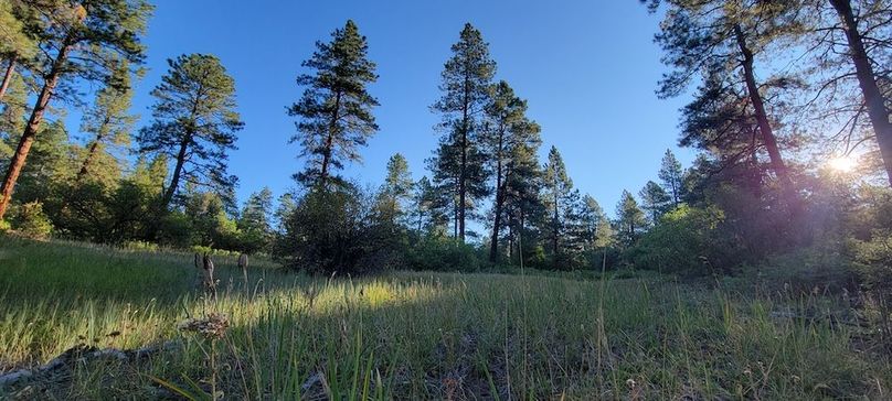 Copy of 20210827_080653