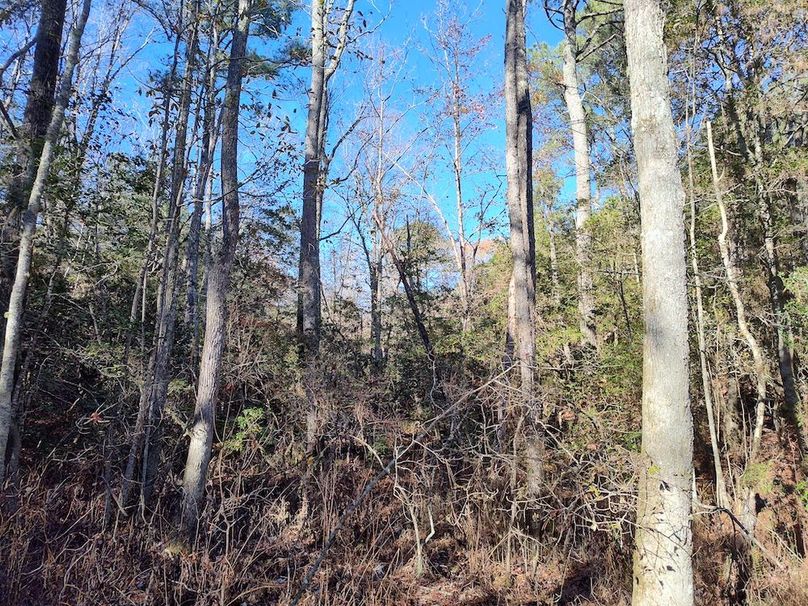 IMG_20251124_122731402_HDR