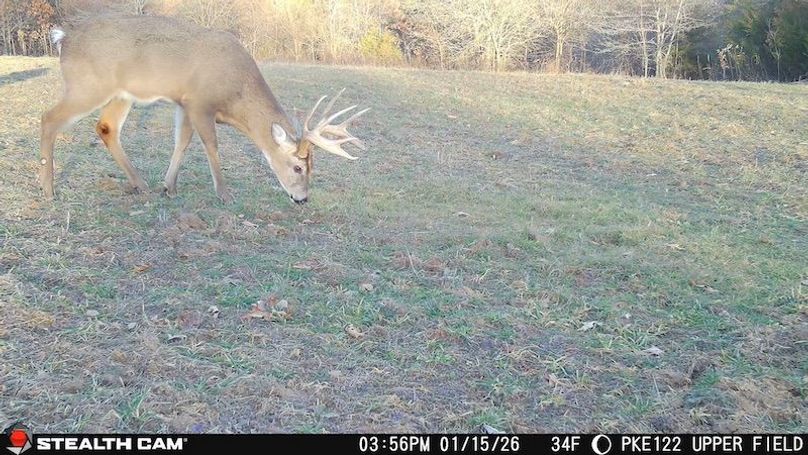 2026011515561601007238_ColorizationType.none