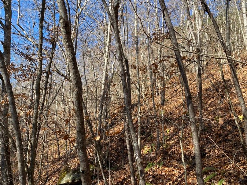 022 area above the old pond that is no longer there