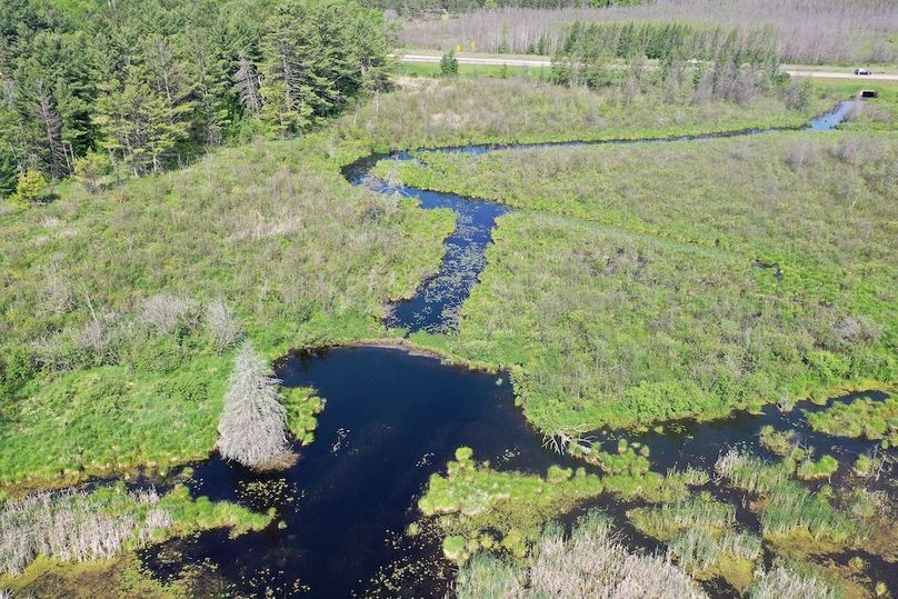 org_f15f2ed3859ccc30_1717337162000