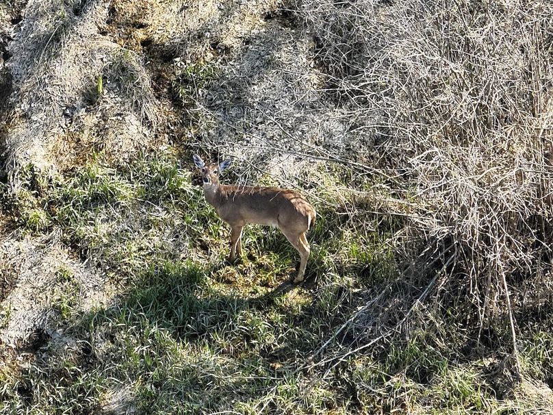 DJI_20260423060122_0037_V