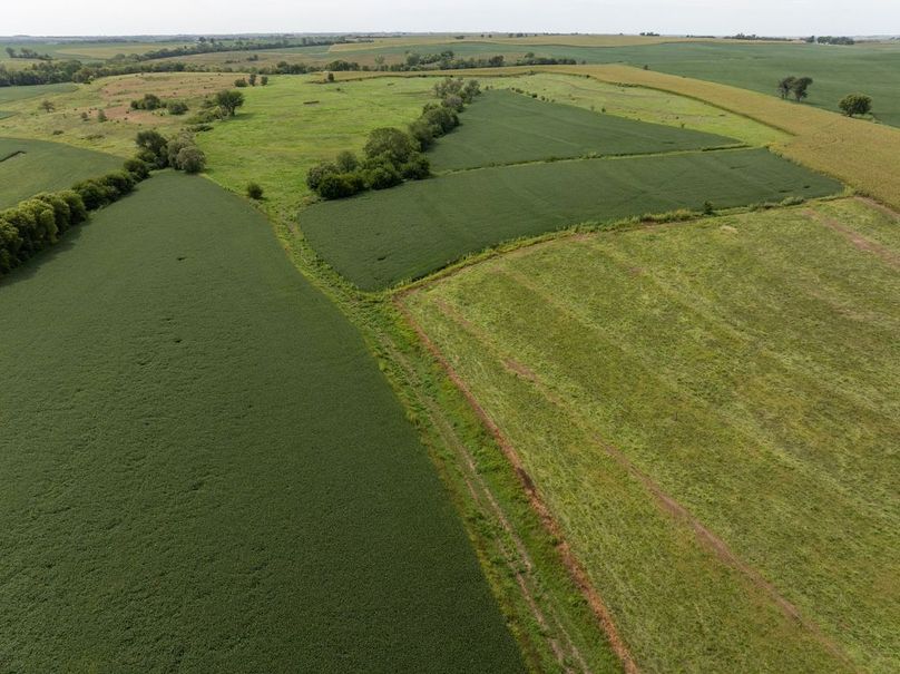 Copy of DJI_20250827113136_0039_D