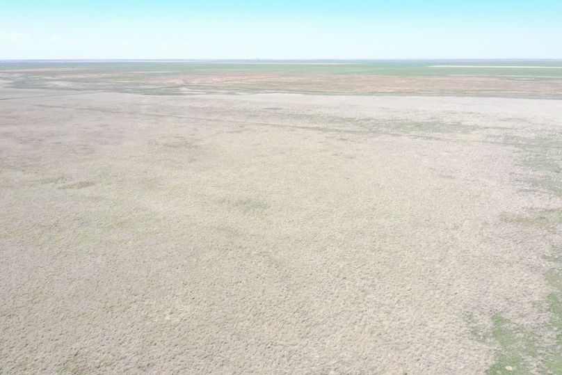 DJI_0655