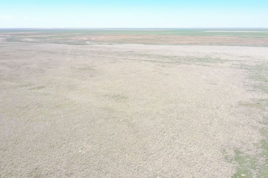 DJI_0655
