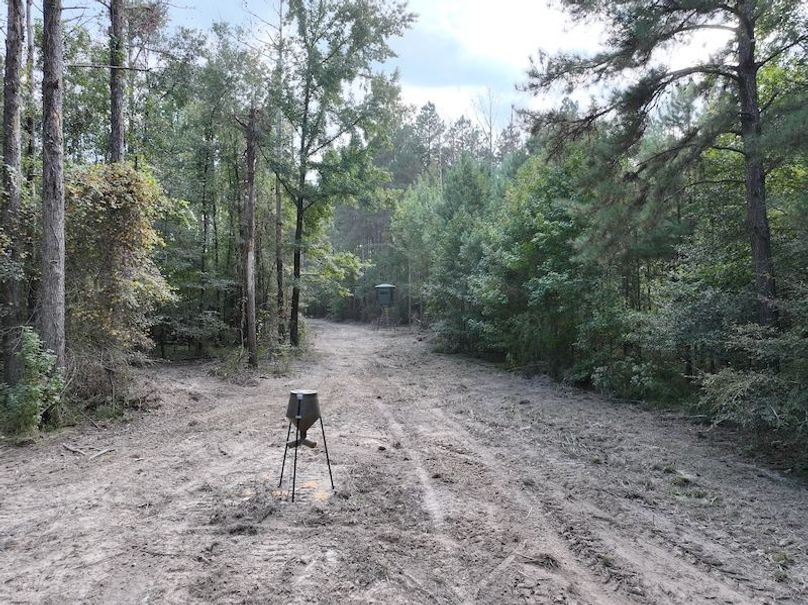 dji_fly_20251001_160334_0649_1759492679689_photo