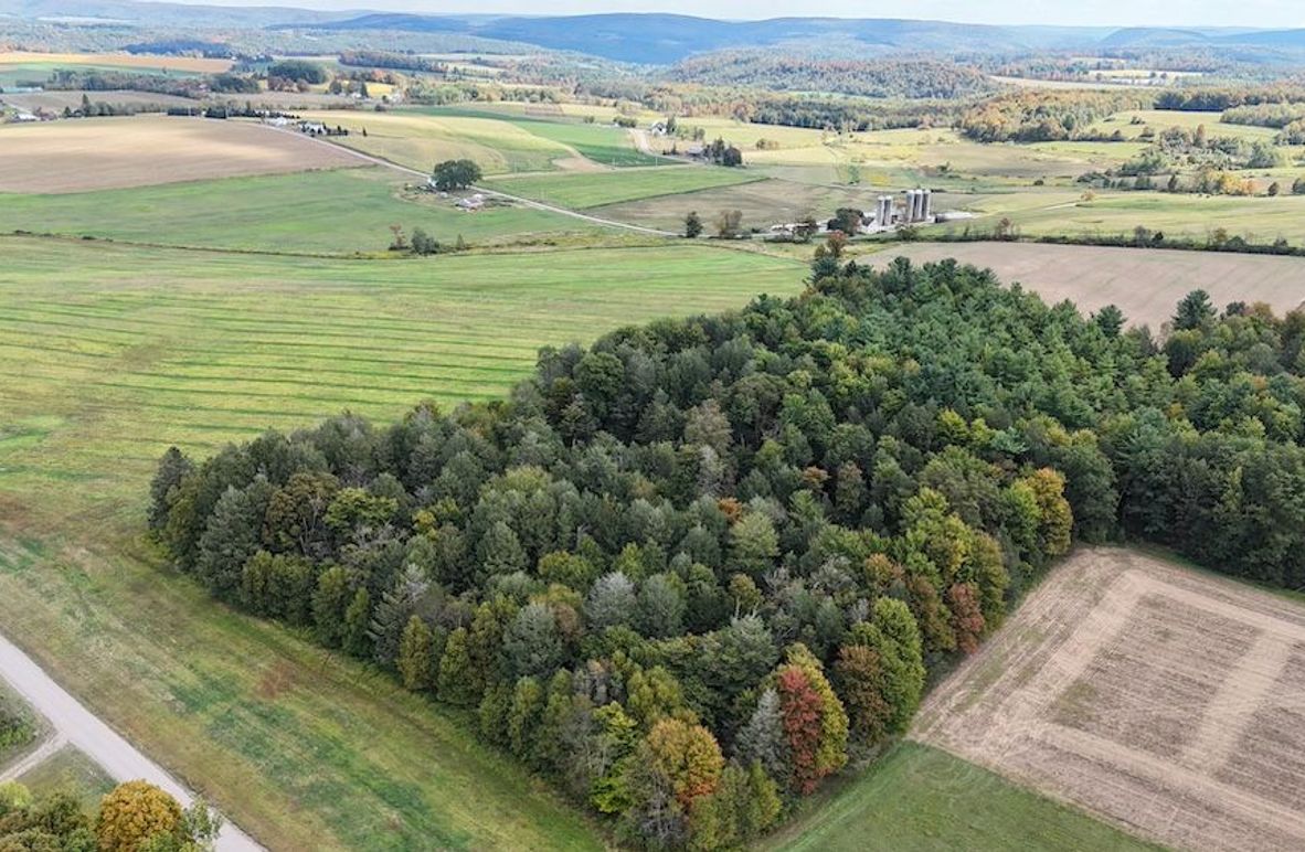 DJI_20250912151412_0001_D