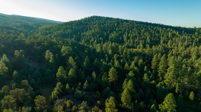 Cibola NM 13,053-0483