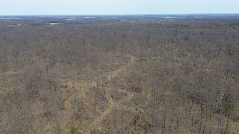 DJI_0155