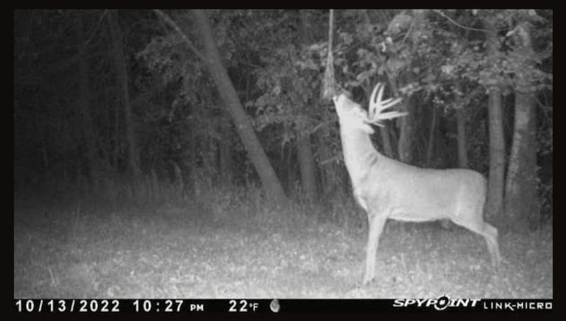 FB_IMG_1718028855888